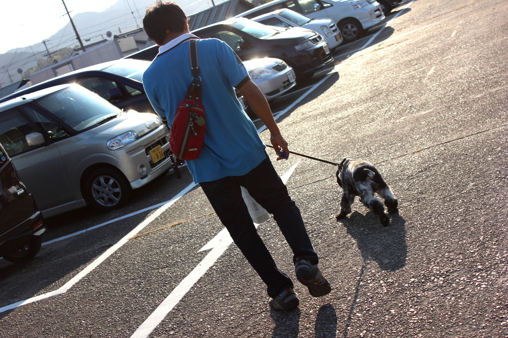 くるま どこー！？