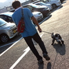 くるま どこー！？