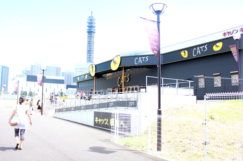 CATS!!