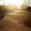 公園