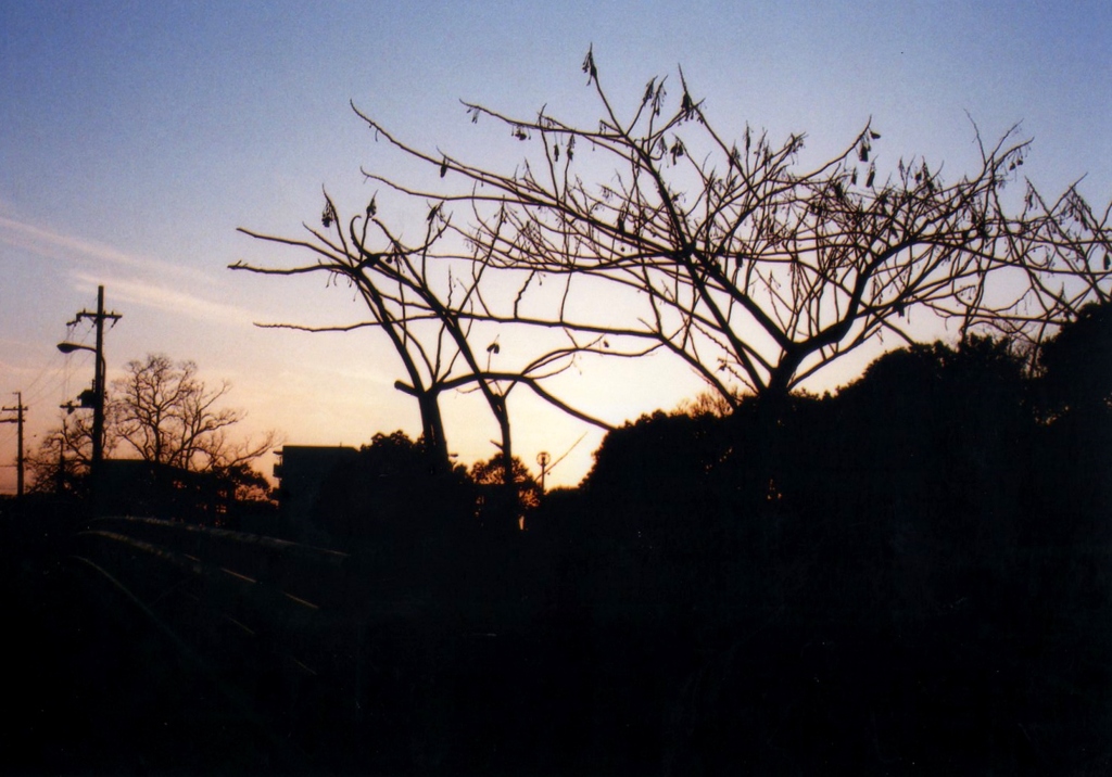 夕暮れ