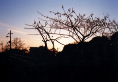 夕暮れ
