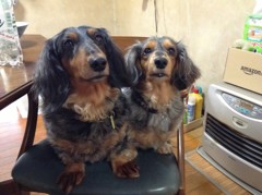 Maron・Anzu