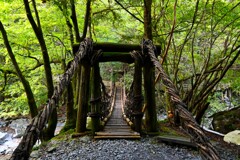 奥祖谷二重かずら橋　女橋