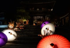 山鹿灯籠浪漫・百華百彩　金剛乗寺にて