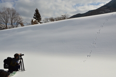 蒜山にて　雪景色④　カメラマン