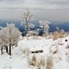 英彦山雪景色