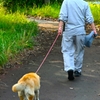 ８５歳　１５歳を曳く