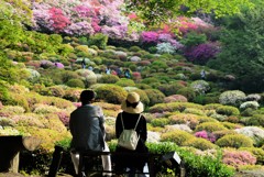 夫婦　御船山楽園にて（戯画自讃）