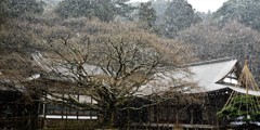 雪の雷山千如寺大悲王院