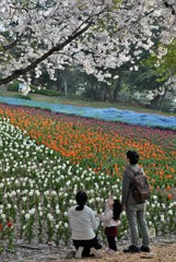 火の山公園の春　２０１９