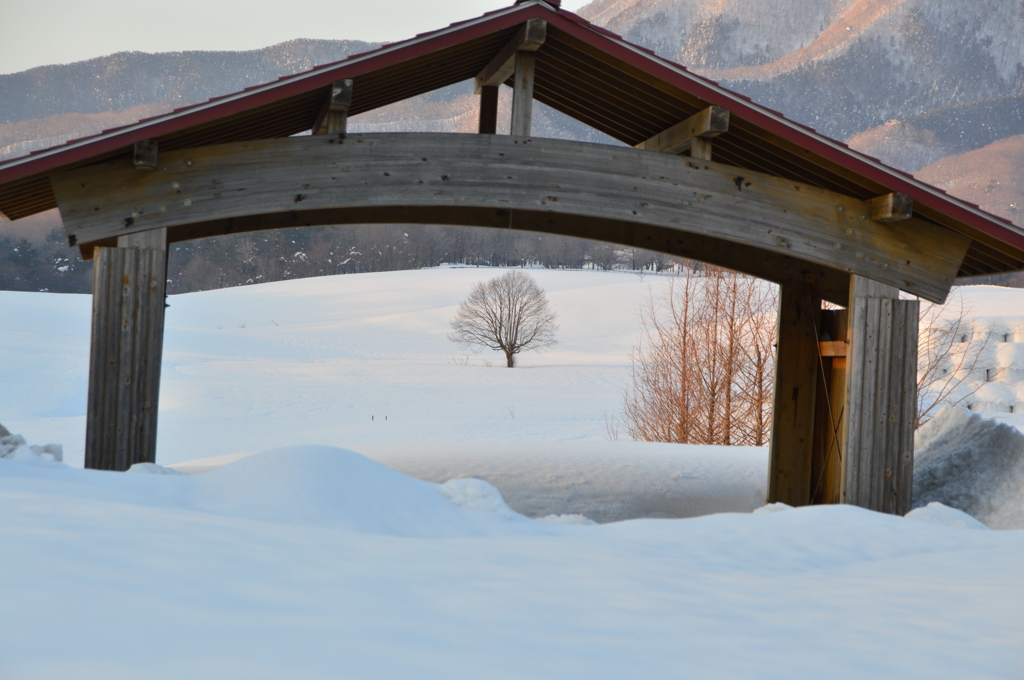 蒜山にて　雪景色⑤