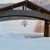 蒜山にて　雪景色⑤