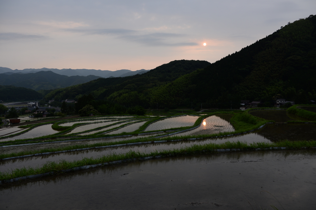 習作　井手浦の夕べ