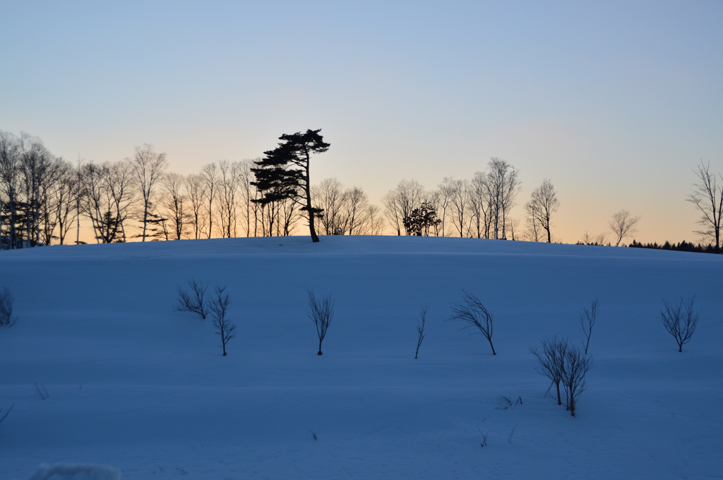 蒜山にて　雪景色⑥　薄暮