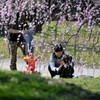 ほら笑って・・・