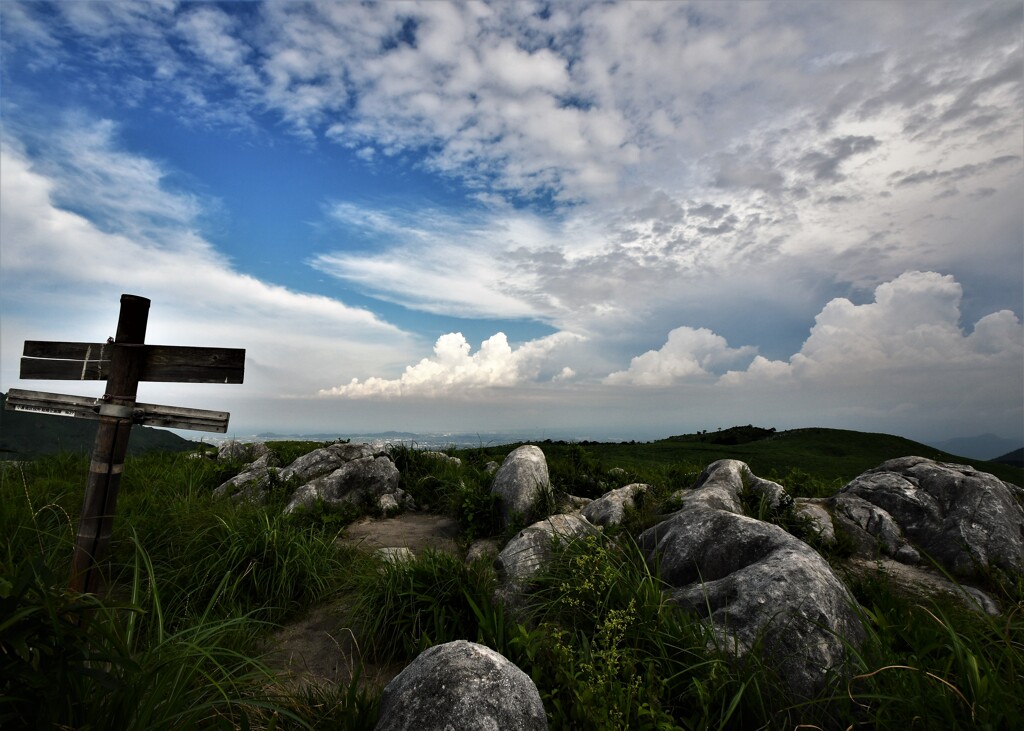 平尾台の夏　２０２１