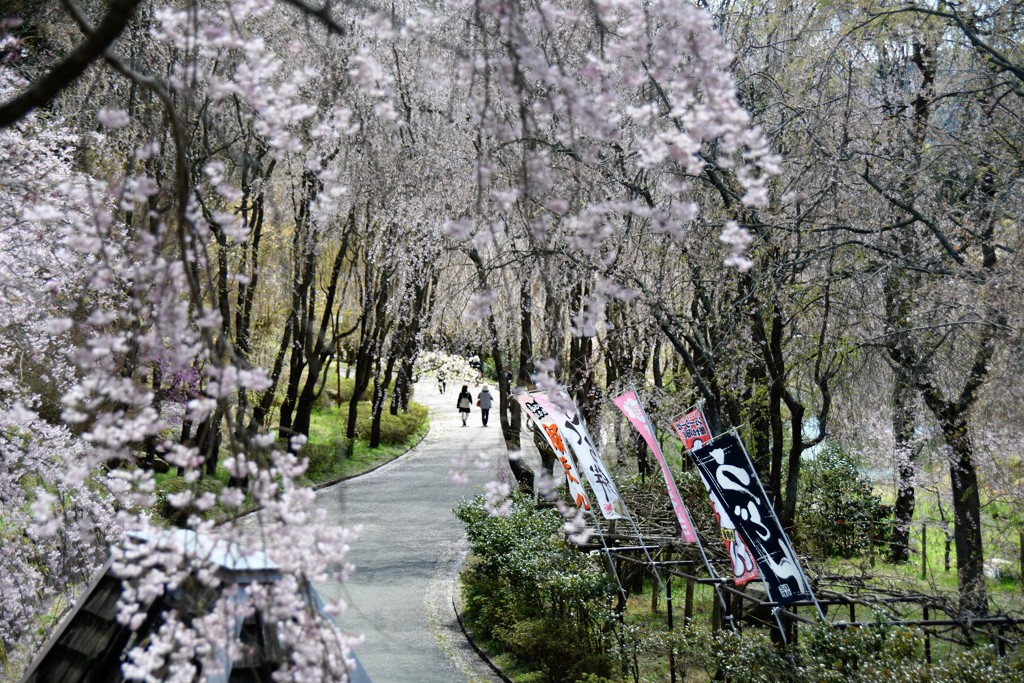 世羅甲山　ふれあいの里