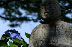 仏と紫陽花