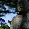 仏と紫陽花