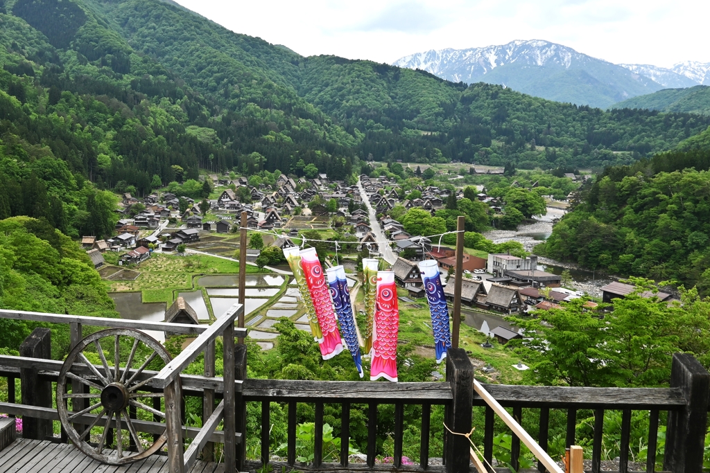 五月の白川郷