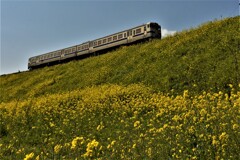 菜の花陸橋