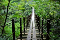 五家荘の吊り橋（あやとり橋）