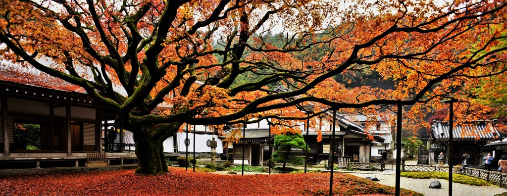 雷山千如寺大悲王院の秋