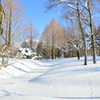 蒜山にて　雪景色②