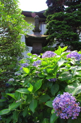 成就院⑧
