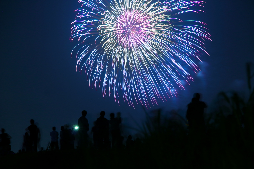 2013　市川市納涼花火大会④