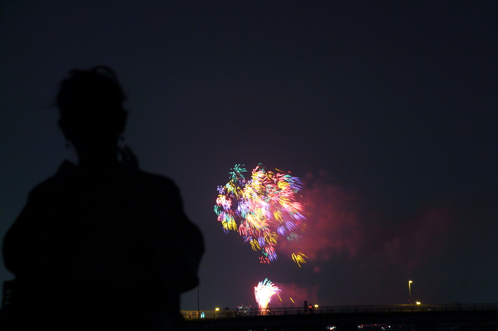 2013　市川市納涼花火大会⑤