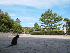 見送リ