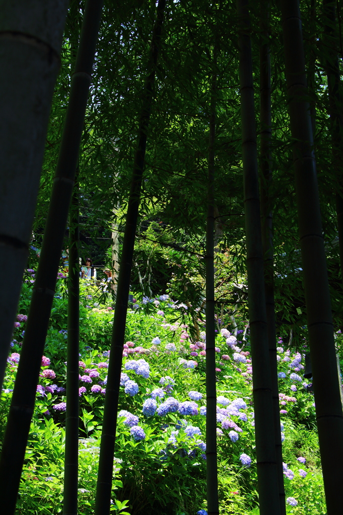 長谷寺⑥