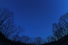 星屑