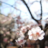 早春ノ候