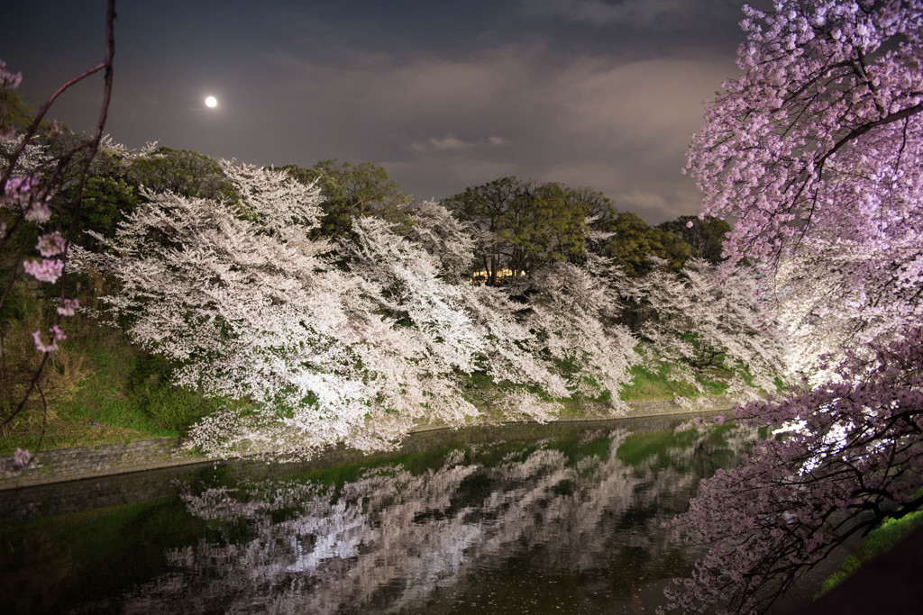 朧月夜