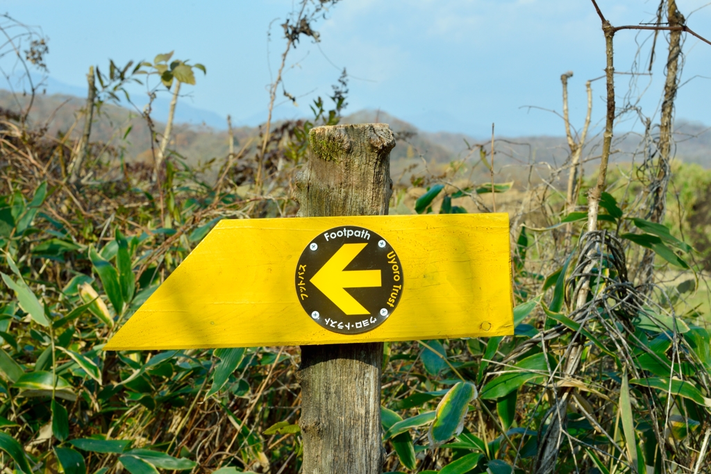 鮭ウォッチング4