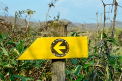 鮭ウォッチング4