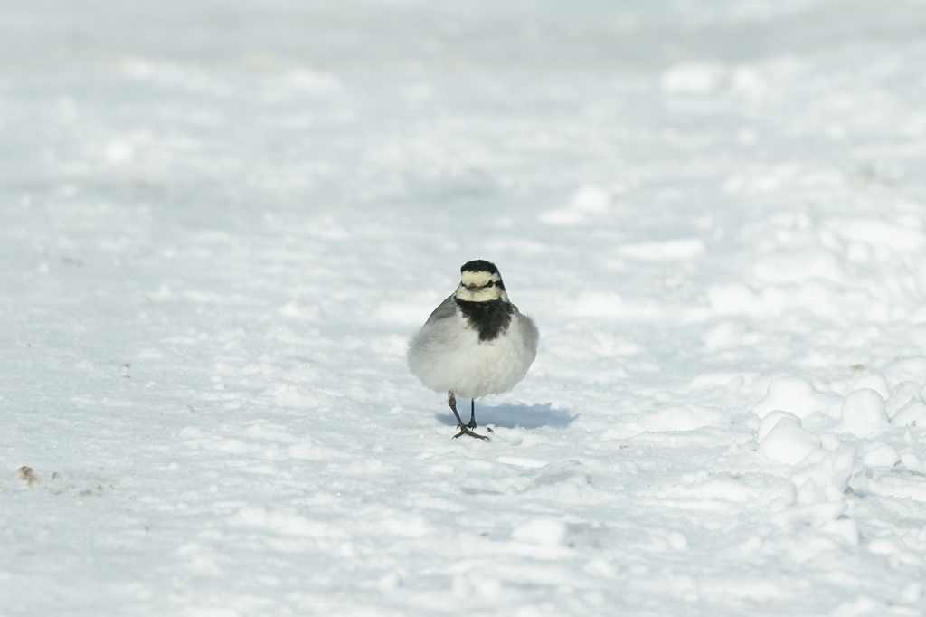 ストリートダンス　１