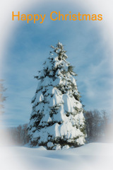 Happy Christmas