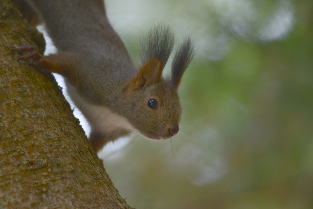はじめまして......