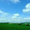 東千歳　夏の風景