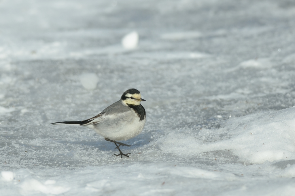 ストリートダンス　3