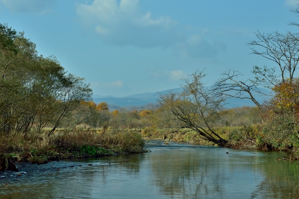 鮭ウォッチング３