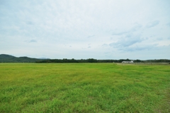 鮭ウォッチング11