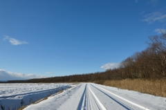 冬・雪原