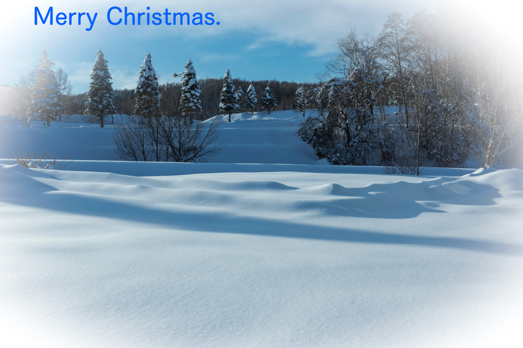 Merry Christmas