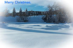 Merry Christmas