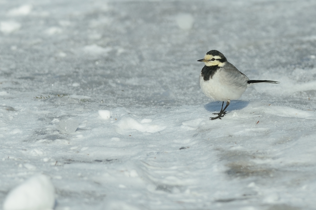 ストリートダンス　4